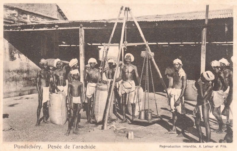 13-13 - Pondichery - pesee arachide